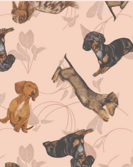 SCHLAFANZUG - LANGE HOSE DACKEL