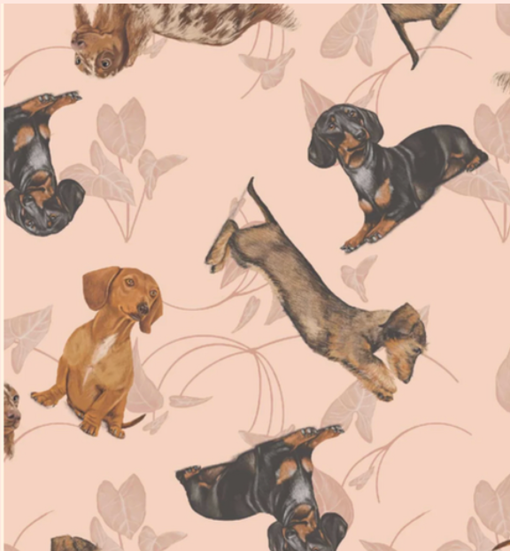 SCHLAFANZUG - LANGE HOSE DACKEL