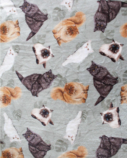 DECKE PERSERKATZEN GRÜN