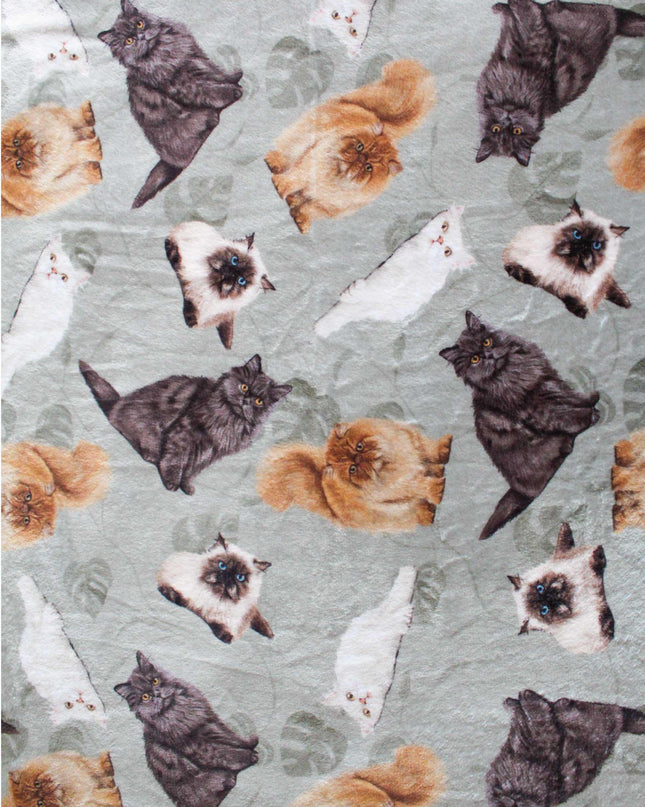 DECKE PERSERKATZEN GRÜN