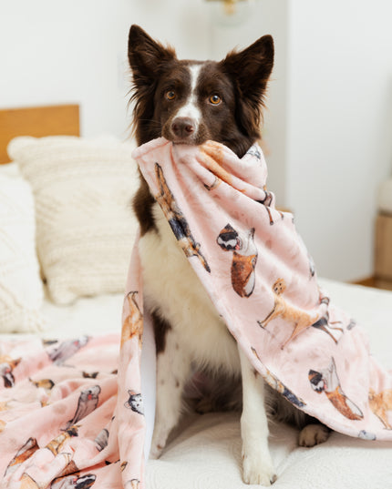 DECKE GROẞE RASSEN ROSA