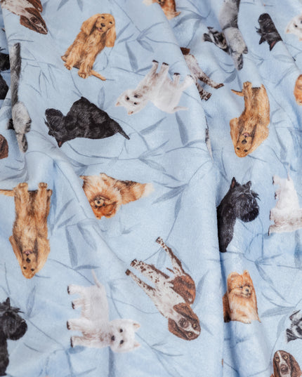 DECKE KLEINE RASSEN BLAU
