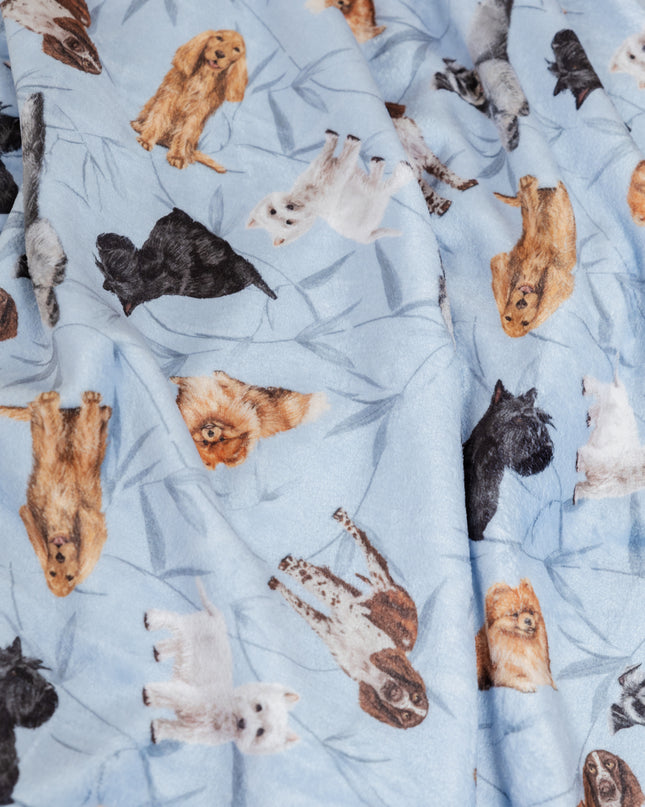 DECKE KLEINE RASSEN BLAU