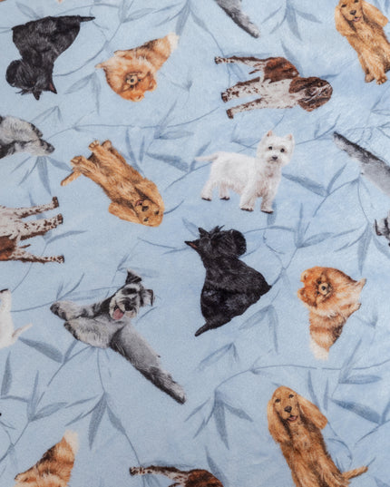 DECKE KLEINE RASSEN BLAU