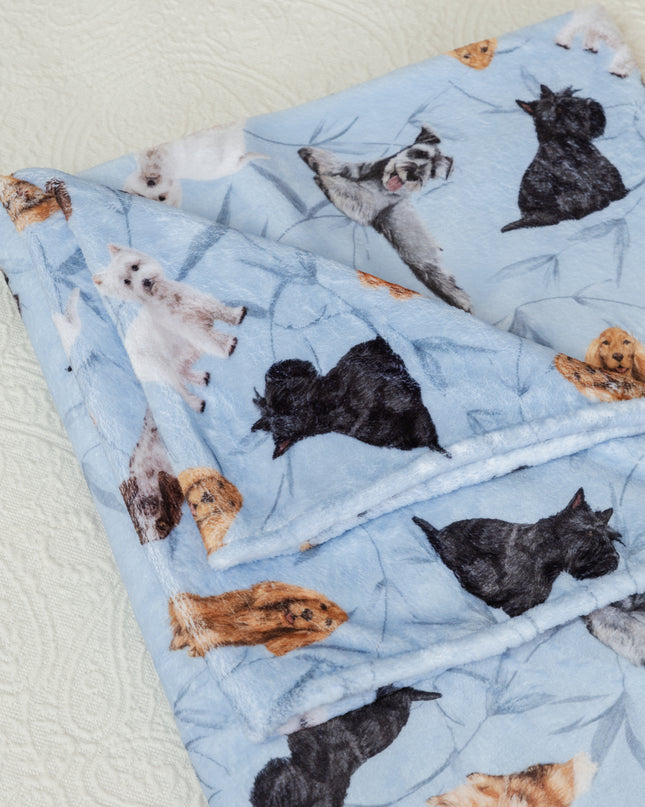 DECKE KLEINE RASSEN BLAU