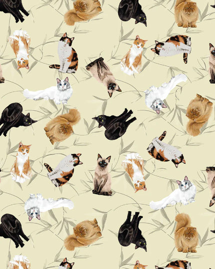 SCHLAFANZUG - KURZE HOSE MULTIRASSE