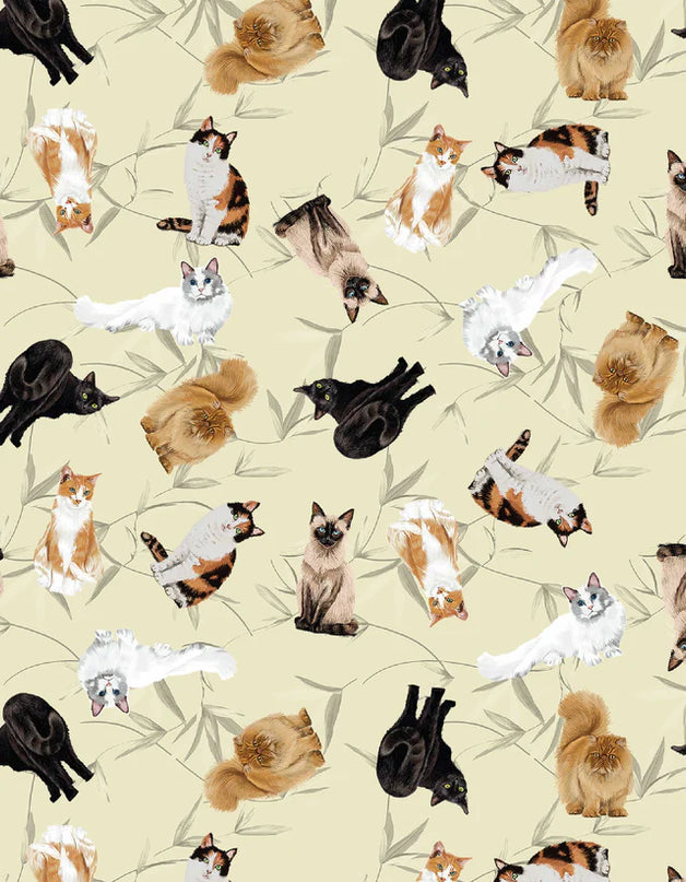 SCHLAFANZUG - KURZE HOSE MULTIRASSE