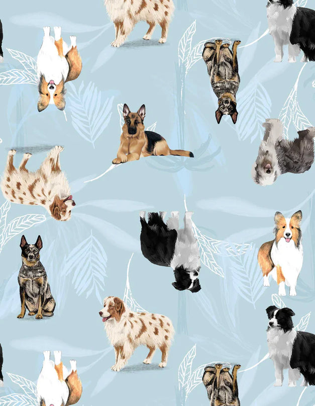 SCHLAFANZUG - KURZE HOSE SCHÄFERHUNDE BLAU