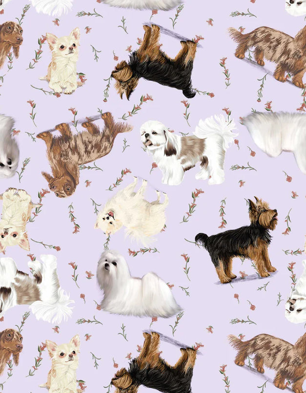 SCHLAFANZUG - KURZE HOSE KLEINE RASSEN LILA