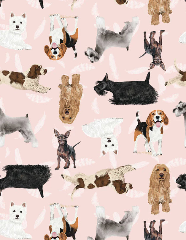 SCHLAFANZUG - KURZE HOSE KLEINE RASSEN ROSA