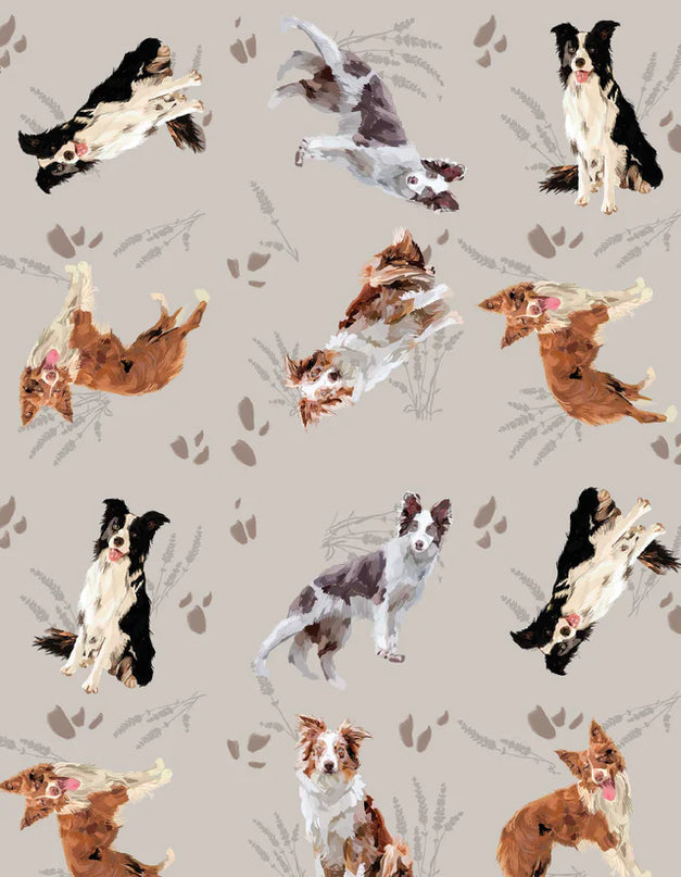 SCHLAFANZUG - KURZE HOSE BORDER COLLIE